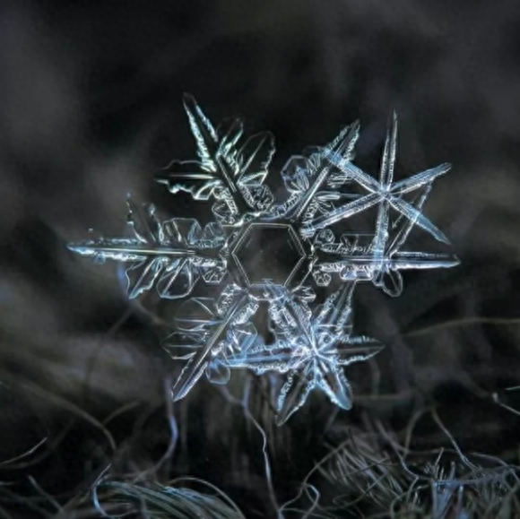 你知道雪花有几种形状吗？这些你不一定见过