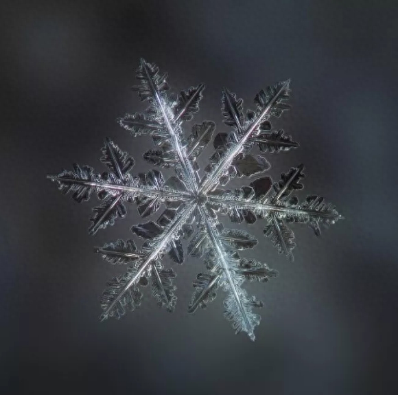 你知道雪花有几种形状吗？这些你不一定见过