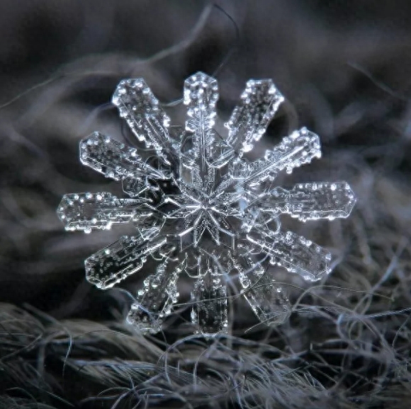 你知道雪花有几种形状吗？这些你不一定见过