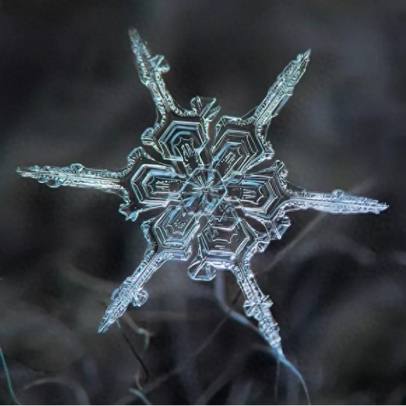 你知道雪花有几种形状吗？这些你不一定见过