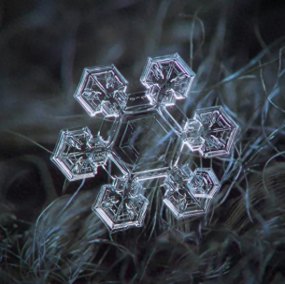 你知道雪花有几种形状吗？这些你不一定见过