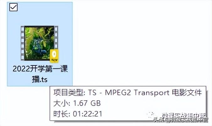 ts是什么意思(Ts格式？搞定你)