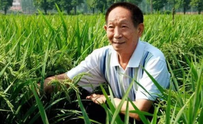 ​身价1008亿的袁隆平：月工资6000，座驾寒酸太扎心