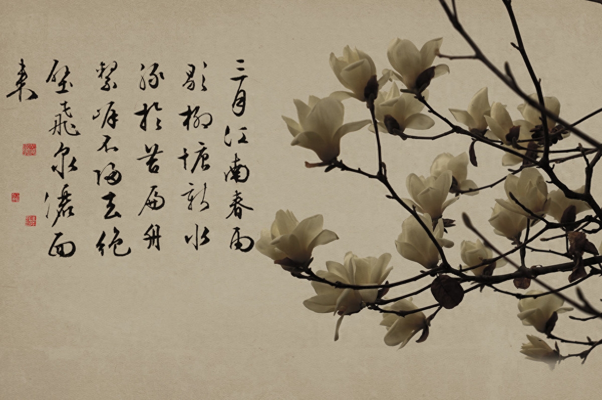 传统文化，民俗，文化
