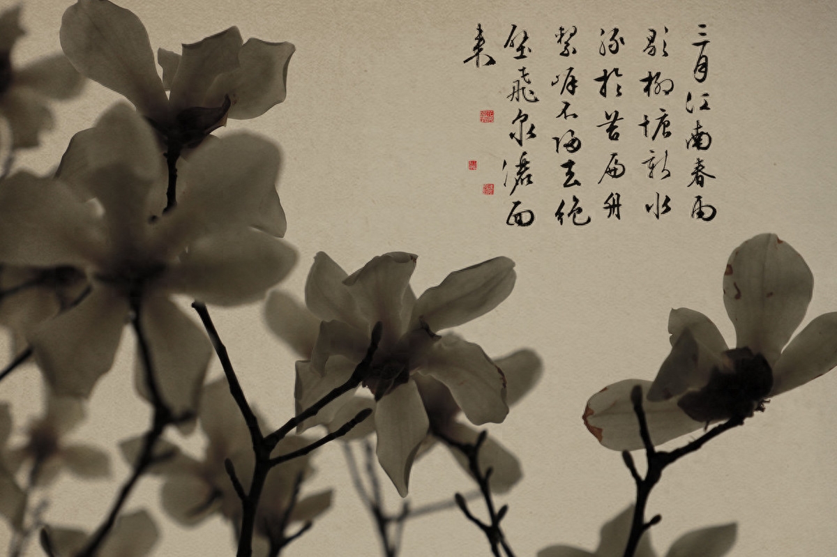 传统文化，民俗，文化