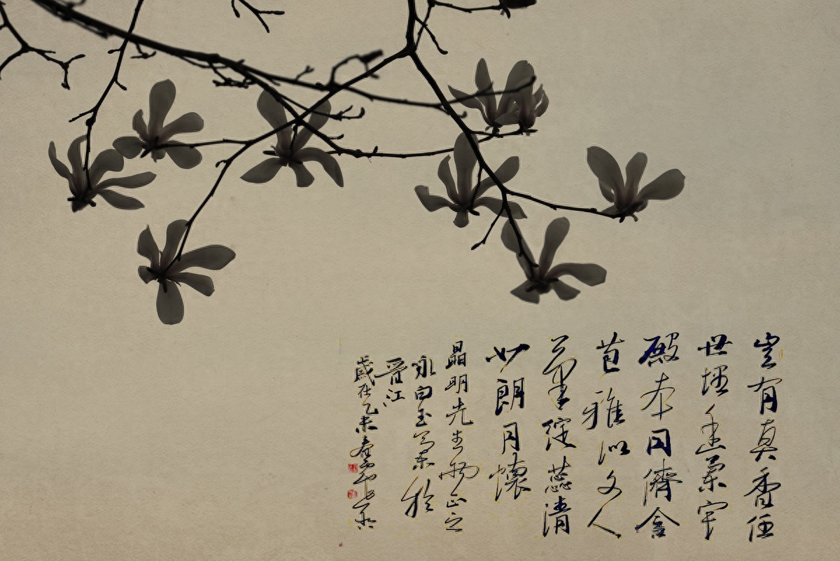 传统文化，民俗，文化