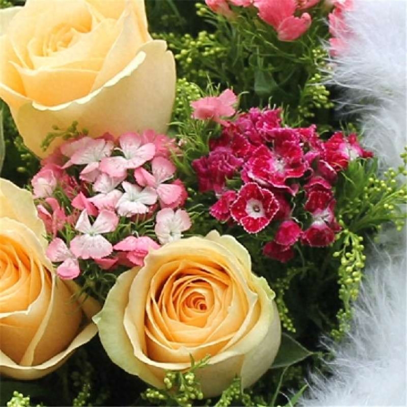 各色玫瑰花语大全
