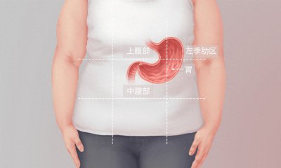 ​胃在什么位置