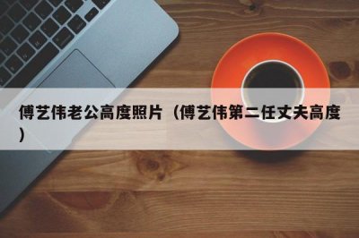 ​傅艺伟老公高度照片（傅艺伟第二任丈夫高度）
