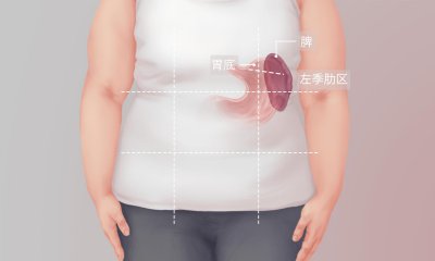 ​人体脾脏的位置在哪里
