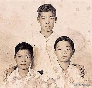 成奎安个人资料介绍（成奎安生平简介）-