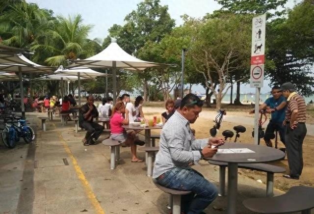新加坡人口和面积多大（新加坡国家概况简介）-