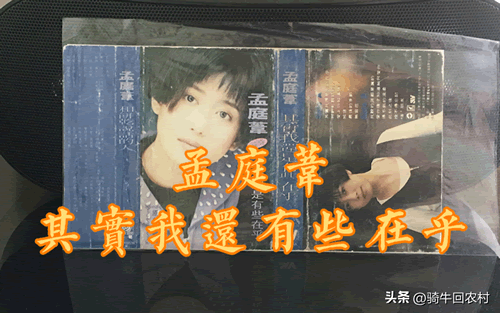 孟庭苇个人资料简介（孟庭苇现状如何）-