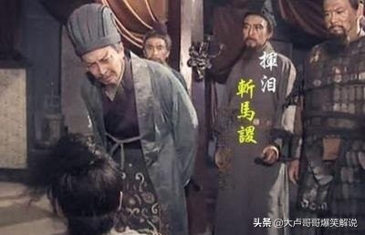 伏波将军是指哪一位（伏波将军马援的生平简介）-