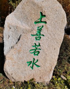 ​波涛的意思解释