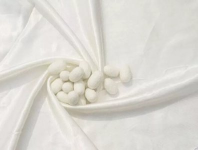 ​桑蚕丝和真丝的区别