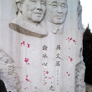 ​冰心的儿子后来怎么样了 你知道吗