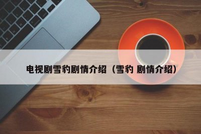 ​电视剧雪豹剧情介绍（雪豹 剧情介绍）