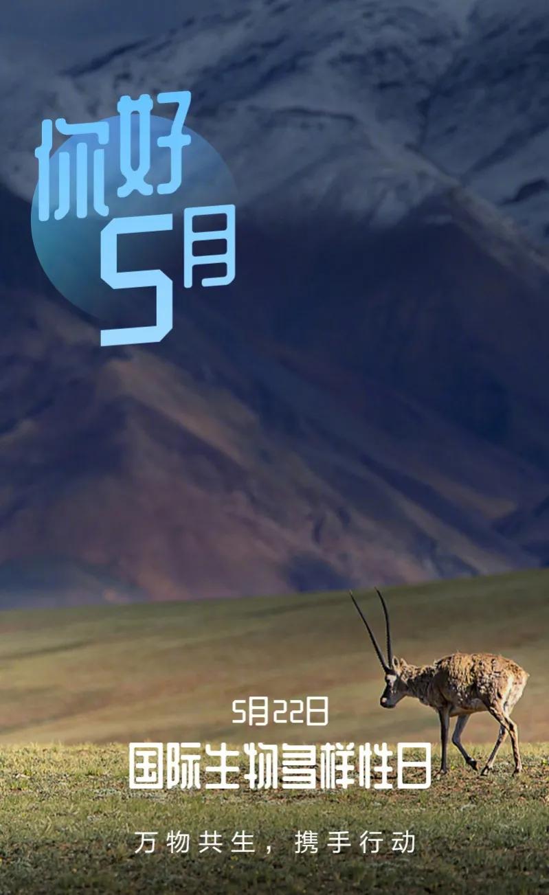 月有什么节日和纪念日（五月的节日有点多）"