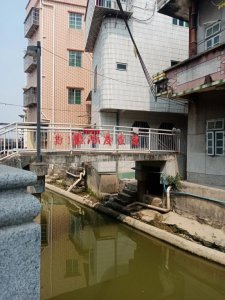 ​广州长洲岛的路途风光