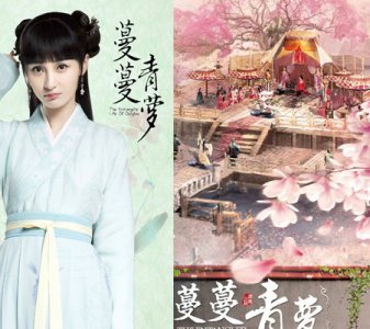 ​蔓蔓青萝电视剧讲述的是什么 都有谁主演