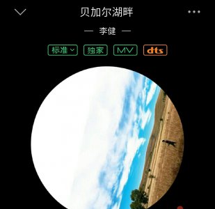 ​如何免费下载音乐 ？不用软件也可以，只需要这么操作