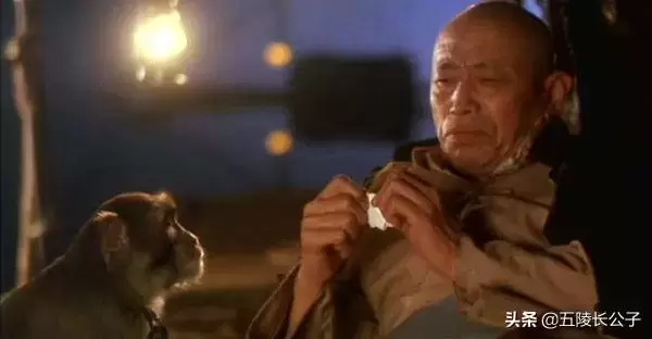 世界经典喜剧电影有哪些好看的（盘点十三部世界知名的经典喜剧电影）