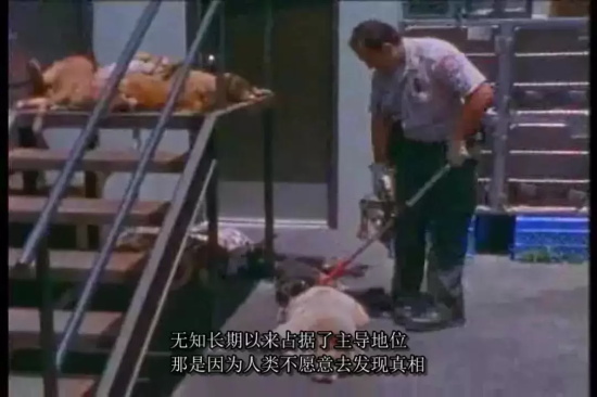 纪录片高分电影有哪些（6部高分纪录片推荐）