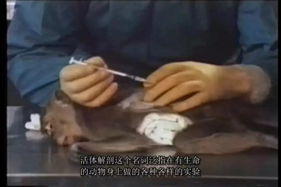 纪录片高分电影有哪些（6部高分纪录片推荐）
