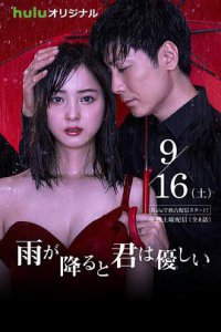 ​《下雨时你的温柔》电视剧剧情介绍