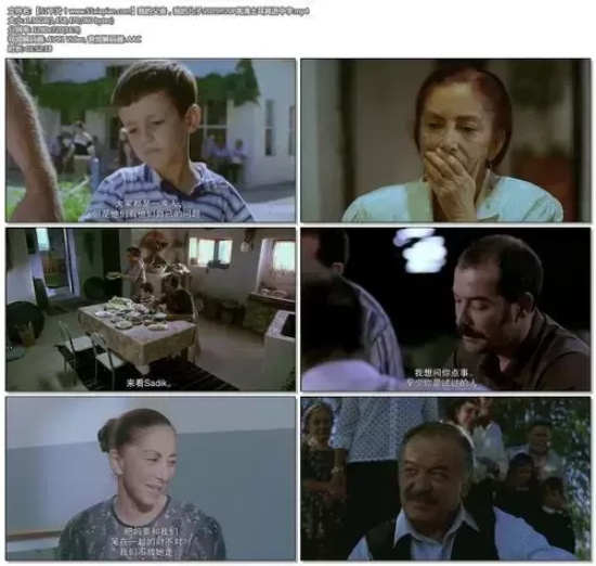 好看的中东电影有哪些（盘点中东地区21部豆瓣高分电影）