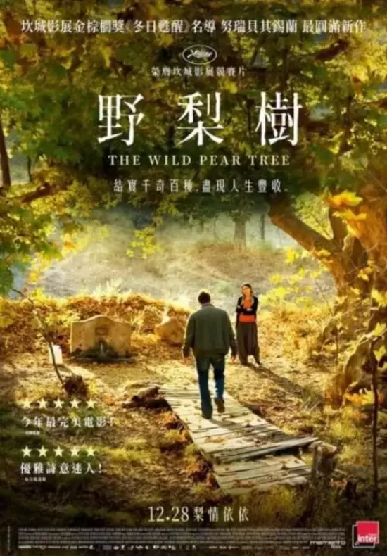 好看的中东电影有哪些（盘点中东地区21部豆瓣高分电影）