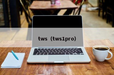 ​tws（tws1pro）