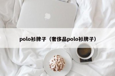 ​polo衫牌子（奢侈品polo衫牌子）