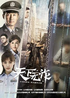 《天下无诈》电视剧封面