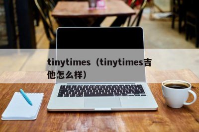 ​tinytimes（tinytimes吉他怎么样）