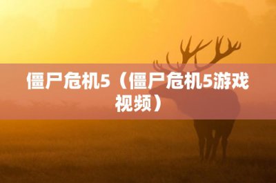 ​4个2代表什么(用4个2能摆出几个数，那个数最大)