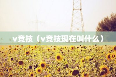 ​12360官网(12306网上订票官网app下载安装)