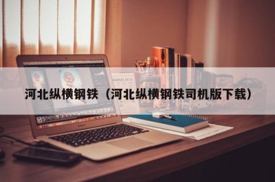 ​河北纵横钢铁（河北纵横钢铁司机版下载）