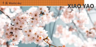 ​花艺设计常用工具 花艺工具什么牌子好
