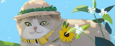 ​美国虎斑猫和美短毛有什么区别 虎斑猫与美短猫的区别图片