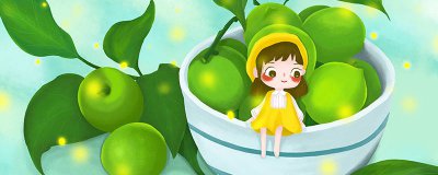 ​李子怎么吃才不会酸 李子都能怎么吃