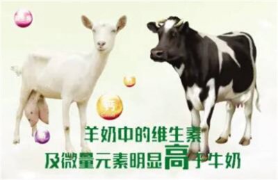 ​牛奶和羊奶的营养价值哪个高 羊奶与牛奶哪个营养价值高