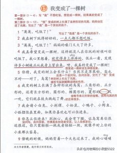 ​三年级语文下册第17课《我变成了一棵树》课堂笔记