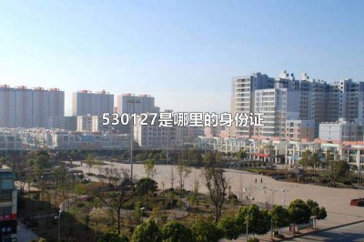 ​530127是哪里的身份证嵩明县有什么地方特产