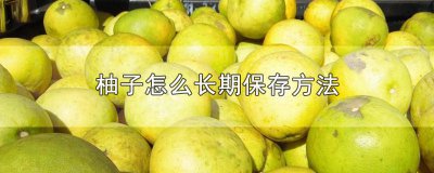 ​柚子怎么长期保存方法 柚子怎么长期保存方法视频