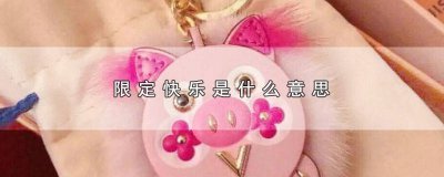 ​限定版快乐 不限定快乐