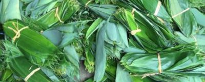 ​粽子叶有毒吗? 新鲜的粽叶有毒吗