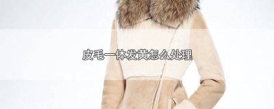 ​皮毛一体发黄怎么处理 皮毛一体发黄怎么处理掉