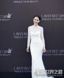 ​兰研创始人许晓兰是怎么起家的她的豪宅真的吗